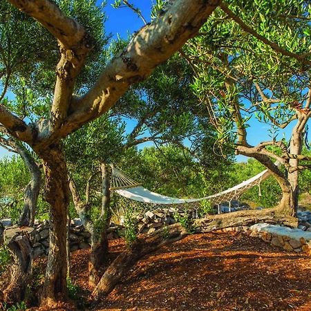 Luxury Villa Vela Rina Drvenik Mali Exterior foto